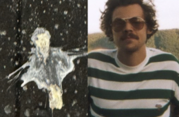 Harry Styles Bird Poop Photo TikTok Goes Viral