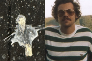 Harry Styles Bird Poop Photo TikTok Goes Viral