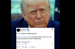 Can Donald Trump Deport Elon Musk?