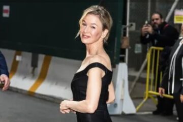 Renée Zellweger Walks Red Carpet Solo Amid Ant Anstead Rumors