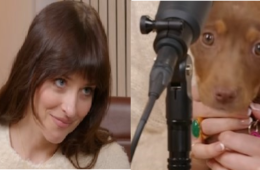 Dakota Johnson Matches Nails with Dog Tokyo