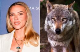 Scarlett Johansson Reacts to Marriage Story Being Used to Scare Away Wolves