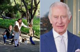 Prince Harry Hints at Bringing Archie and Lilibet to the U.K.