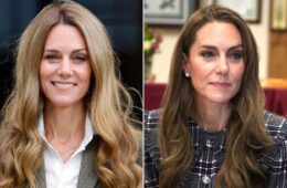 Kate Middleton Is Officially Back to Brunette After Shocking as a Blonde!
