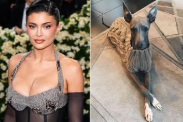Kylie Jenner Mourns Death of Beloved Dog Norman: ‘My Heart Aches’
