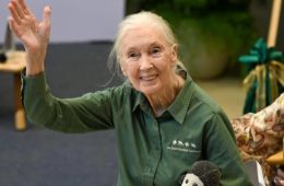 Jane Goodall’s Cause of Death Revealed After Peaceful Passing on Speaking Tour