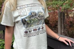 Taylor Swift's Otter Tee Sparks $2M Windfall for Sea Otters