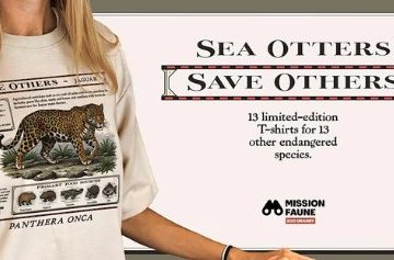 Toronto Zoo Launches Taylor-Swift-Inspired T-Shirt for Endangered Species Fund