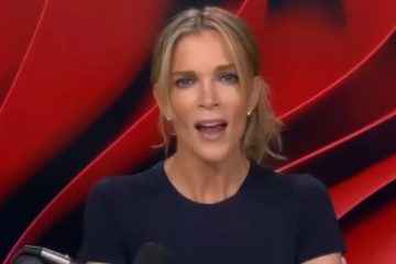 Megyn Kelly Faces Backlash Over Epstein Comments
