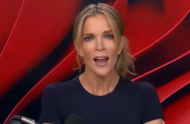 Megyn Kelly Faces Backlash Over Epstein Comments
