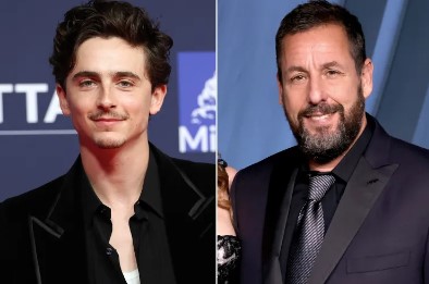 Timothée Chalamet Praises Adam Sandler as an Oscar-Worthy Acting Legend