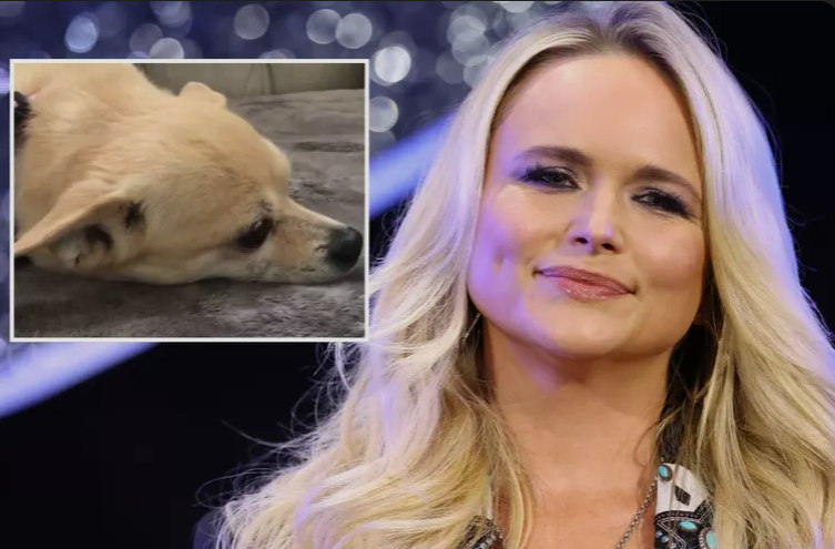 Miranda Lambert Says Goodbye to Her Beloved Rescue Dog