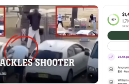 Bondi beacher hero go fund me