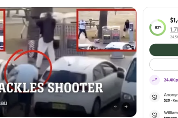 Bondi beacher hero go fund me