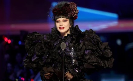 Disruptive Fan Removed From Lady Gaga Show After Ariana Grande Premiere Incident