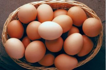 Salmonella Outbreak From Eggs Leaves 63 Ill