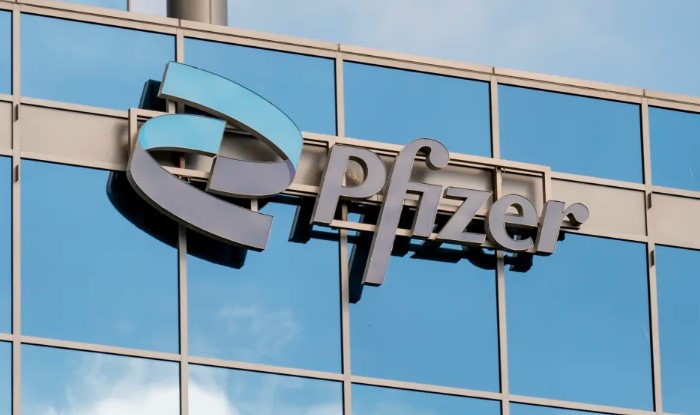 Pfizer’s 2026 Outlook Signals Slow Payoff for Big Investments