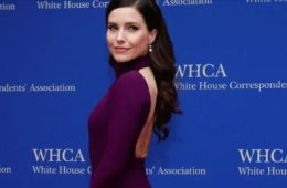 Sophia Bush Speaks Out After Appearing in Hateful Political Message
