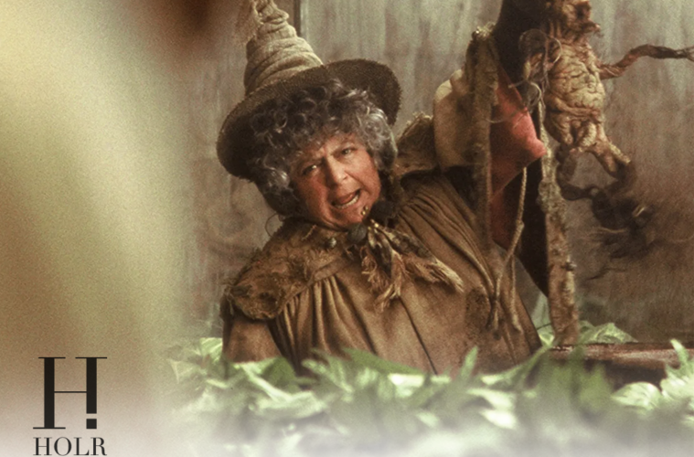 Harry Potter Star Drops Shocking Past Revelation