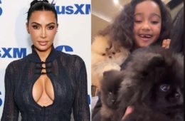 Kim Kardashian Shows Kids Playing With Christmas Puppies After PETA Backlash