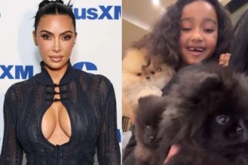 Kim Kardashian Shows Kids Playing With Christmas Puppies After PETA Backlash