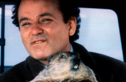 Bill Murray Bitten by Groundhog During Filming