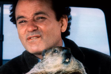Bill Murray Bitten by Groundhog During Filming