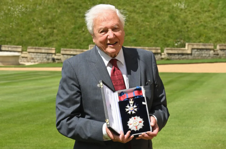 Sir David Attenborough’s 100th Birthday Marked by BBC