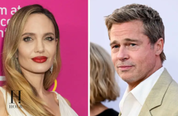 Brad Pitt & Angelina Jolie’s Ongoing Legal Chapter