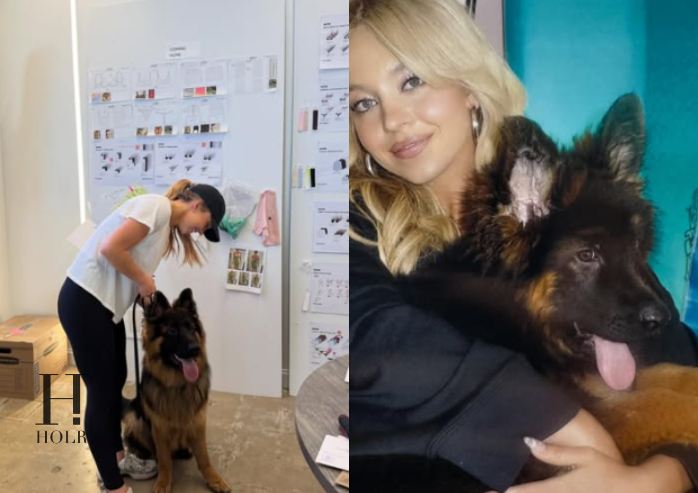 Sydney Sweeney’s Latest Instagram Post Is Melting Hearts Online