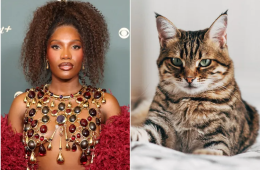 Doechii Says She Hates Cats and Stands by It