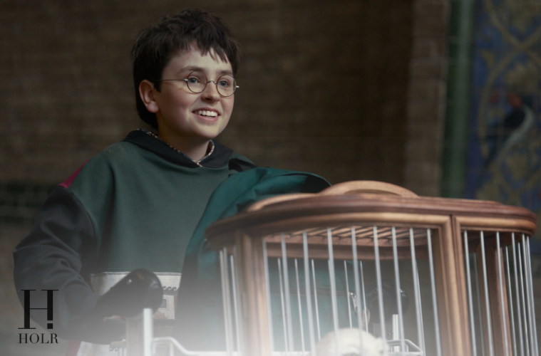 Finding Harry HBO Special Hogwarts Series Behind Scenes