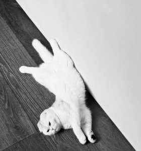 Kylie Jenner NYC 24 Hours Style Moment 2026