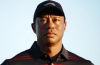 Tiger Woods Speaks Out After DUI, Crash, Seeks Help