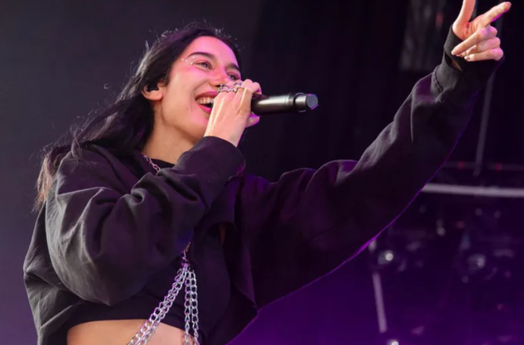 Julia Wolf on Viral Fame: ‘Like a Slap in the Face’