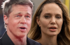 Brad Pitt Opposes Angelina Jolie’s Winery Trial Delay