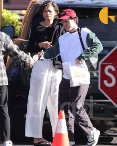 Zendaya Tom Holland Spotted Together in Los Angeles