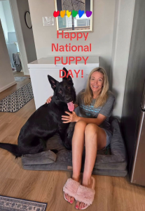 Kate Gosselin Admits Caring for Her Malinois Dog Has Been ‘A Lot’