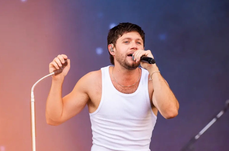Niall Horan Honors Liam Payne With Emotional New Song