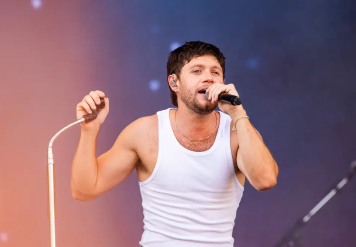 Niall Horan Honors Liam Payne With Emotional New Song