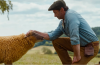 How Grief Inspired the Emotional Heart of The Sheep Detectives