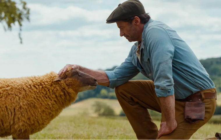 How Grief Inspired the Emotional Heart of The Sheep Detectives