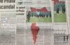 Menstruation Ad in South African Newspaper