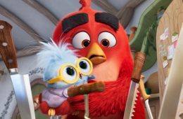 Walker Scobell and Emma Myers discuss the challenges of voice acting as The Angry Birds Movie 3 trailer introduces their new characters.