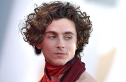 Timothée Chalamet Biography: Career, Net Worth, Relationships & More