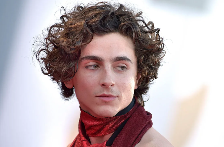 Timothée Chalamet Biography: Career, Net Worth, Relationships & More