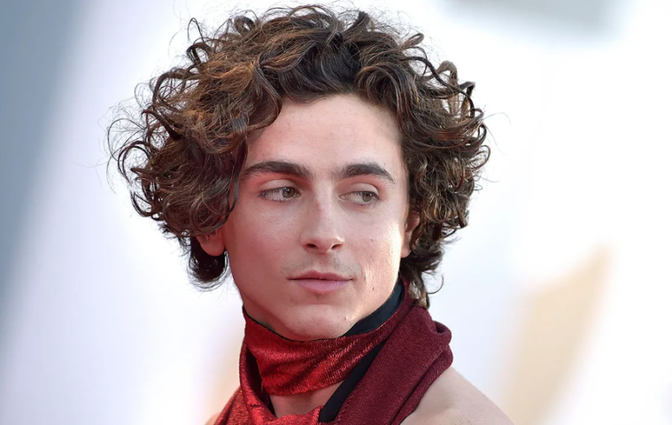 Timothée Chalamet Biography: Career, Net Worth, Relationships & More