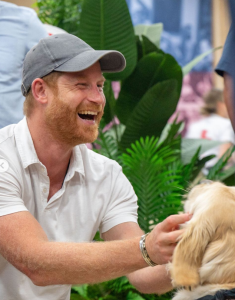 Prince Harry Visits Purple Heart Warrior Games in Texas