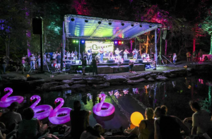 Laurel Cove Music Festival 2026 Highlights Appalachia's Musical Legacy