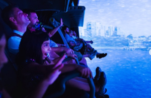 Disney World Guest Reveals VIP Tour Guide Experience